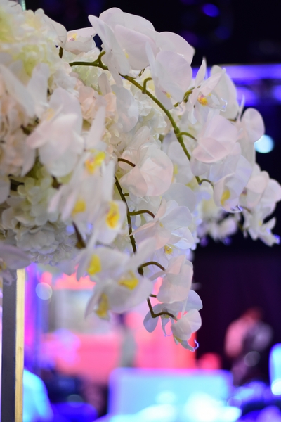 Flower Concept at the Royal Wedding Fair 